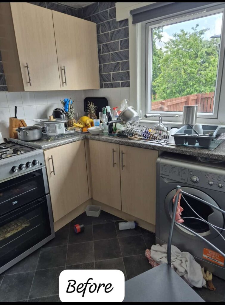 Before_kitchen cleaning